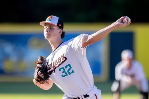 Joseph Dzierwa photo Chesapeake Baysox