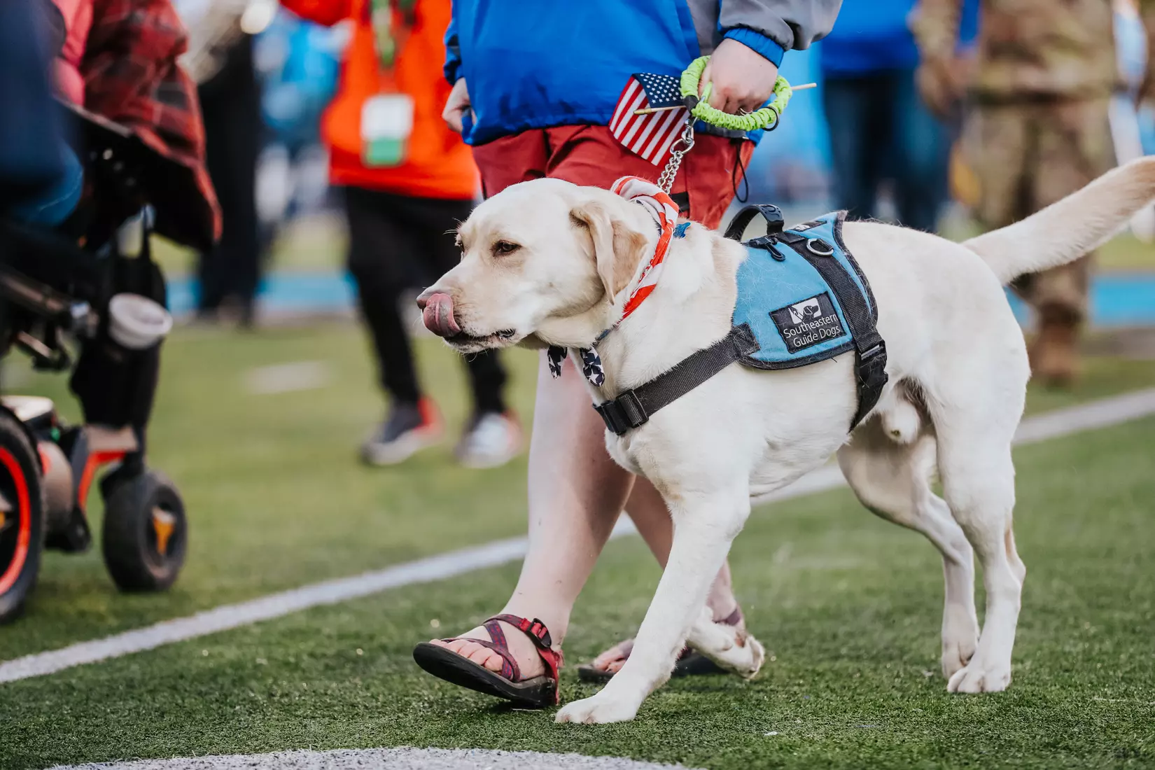 @MT_FB vs FIU, Salute to Veterans, 11/13/21