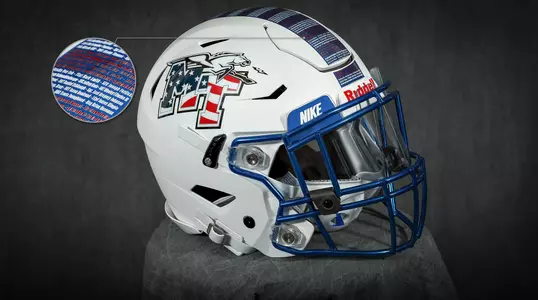 Helmet