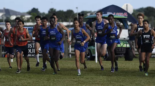 Men's Cross Country