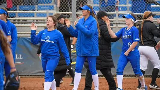 softball team handshake