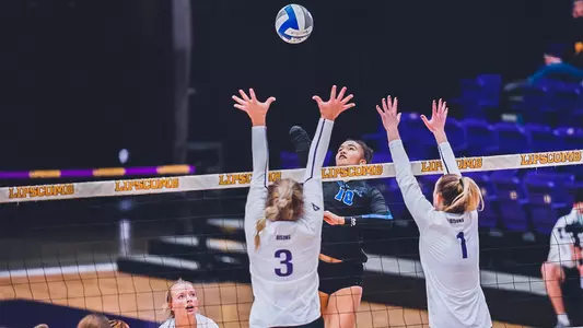 Website Final vs. Lipscomb 2