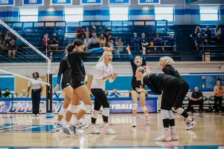 celebration fiu pink