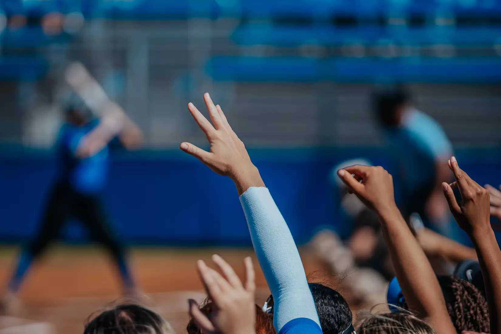 2022-23 Fall Softball