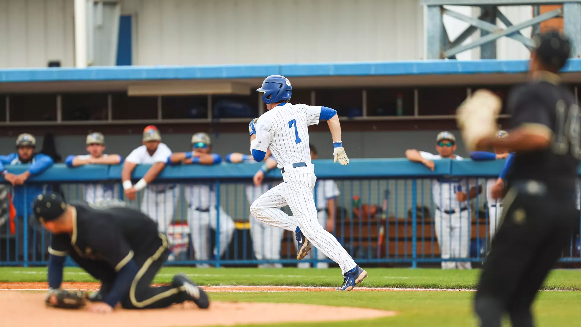 MTSU Baseball vs. FIU