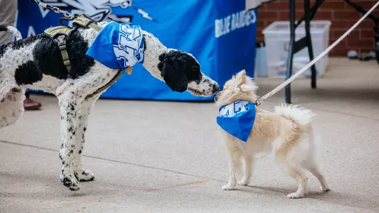Bark in the Park release cover 3-29-24