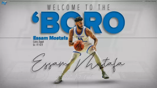 Essam Mostafa