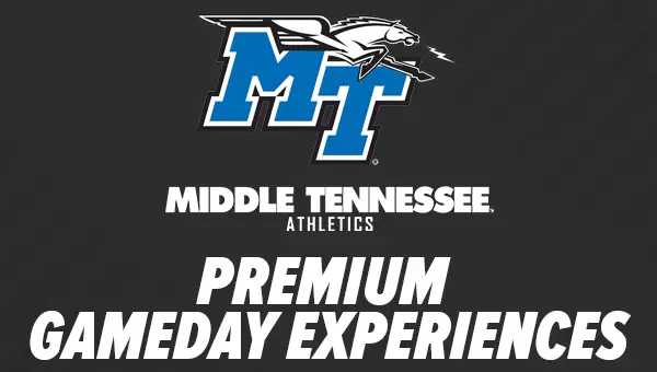 Premium Gameday Experiences