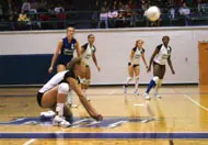 Freshman Andressa Lyra digs a ...