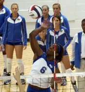 Blue Raiders Fall to FAU 3-0