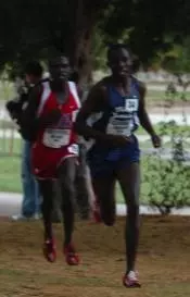 Cross Country ready for UTC Front Runner Invitational