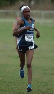 Big Finish Projected for Blue Raiders XC