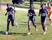 Cross Country to run at Greater Louisville Classic