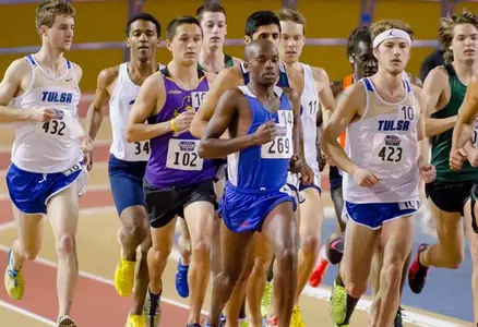 Matelong (Yellow Jacket)