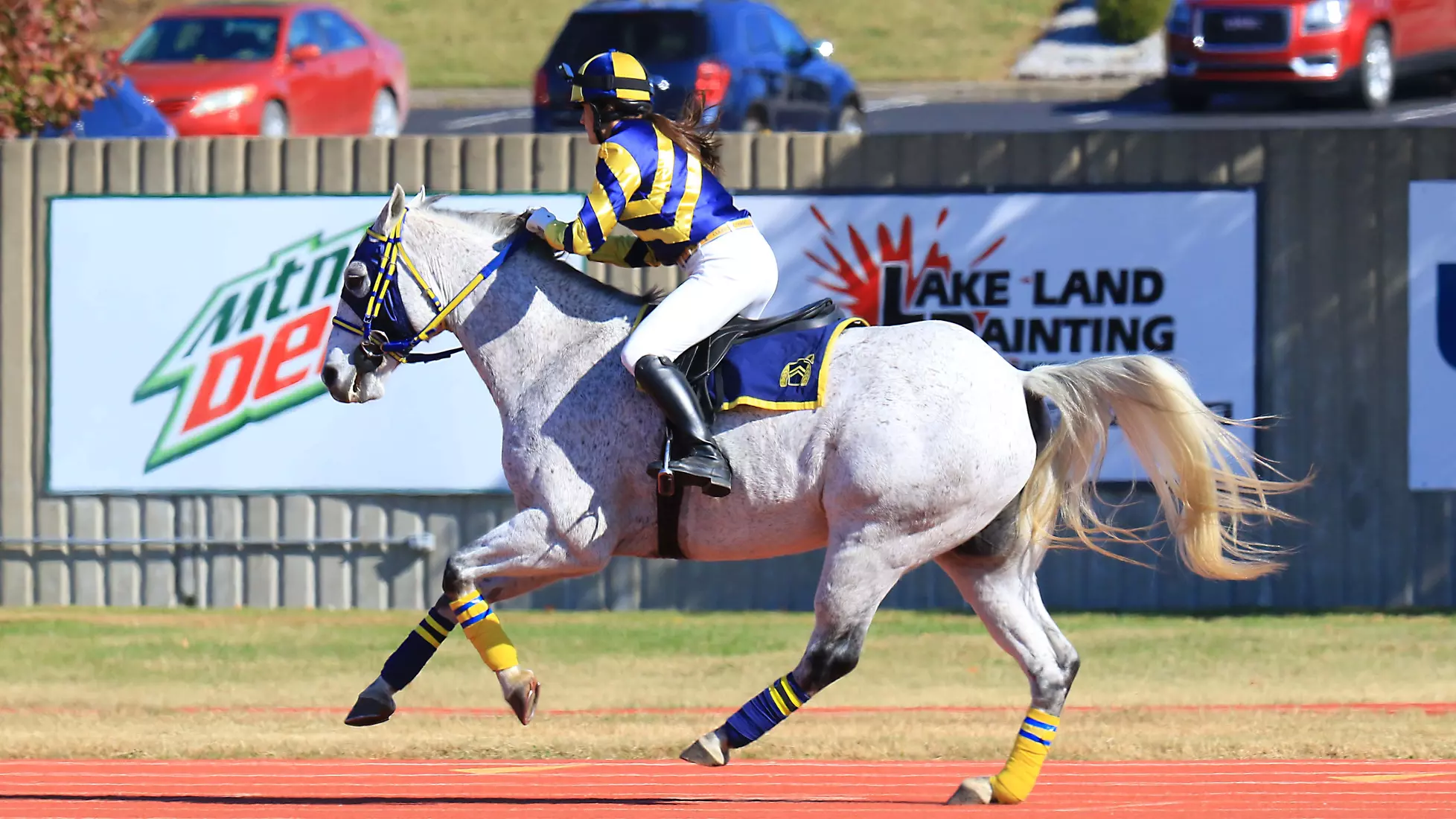 Tennessee Tech at Murray State - Roy Stewart Stadium - Murray, Ky.