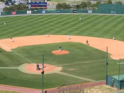 MSU Baseball Shows Promise in Navy-Gold Series Image