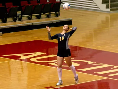 Volleyball Gets Past Austin Peay Image