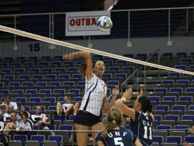 Volleyball Falls At Memphis Image