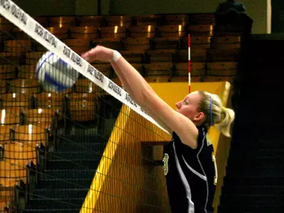 Volleyball Clinches OVC Tournament Berth Image
