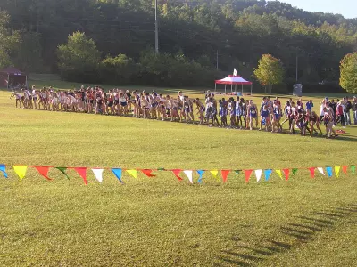 Men's Cross Country Competes at OVC Championships Image