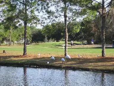 Lady Racer Golf Tied for Second at Tampa Event Image