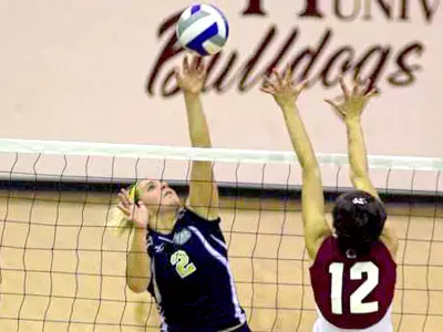 Volleyball Falls To Clemson Image