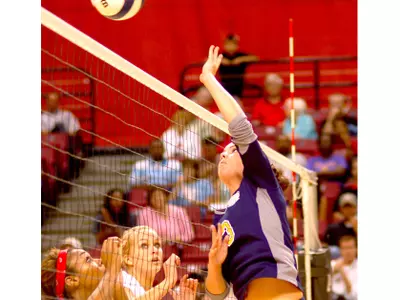 Volleyball Battles San Jose State To 3-1 Loss Image