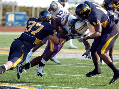 Racers Fall to Gamecocks on Homecoming Image