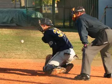 Navy Team Takes Final Game of Fall World Series Image