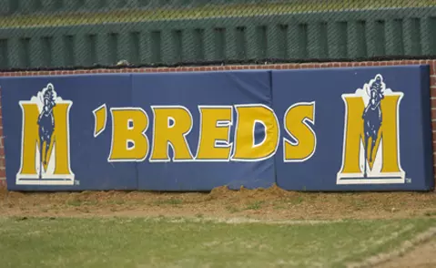Breds backstop logo