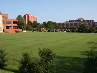 Cutchin Field