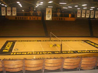 Volleyball Floor