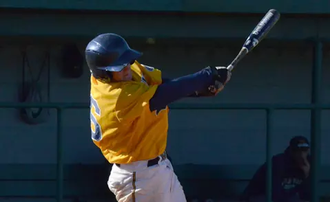 Wallace swing FWS