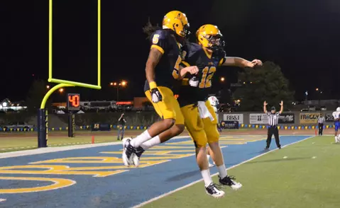 celebration vs TSU