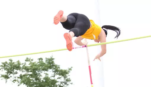 Pole vault
