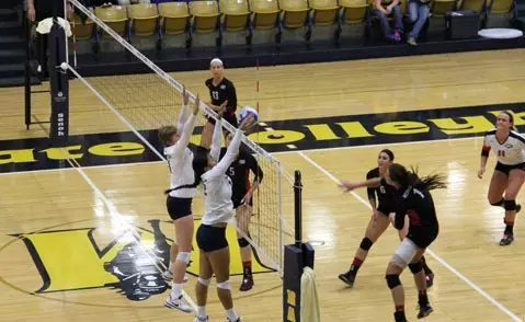 Murray State Volleyball