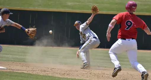 Wheeler flip vs SEMO