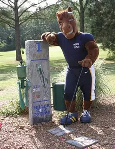 Memorial Dunker