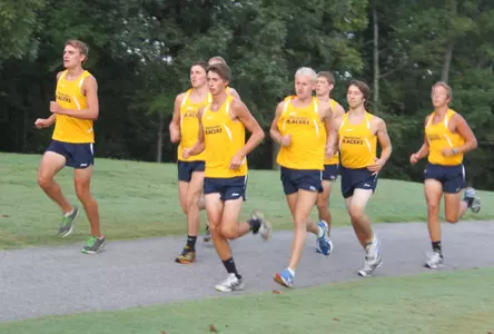 menteampreview