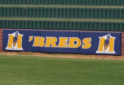 Baseball backstop
