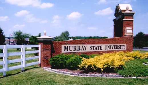 MSU 641 gate