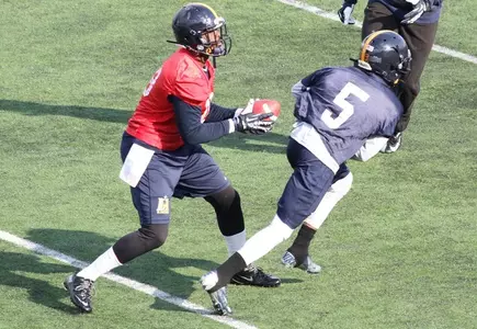QB-RB mesh