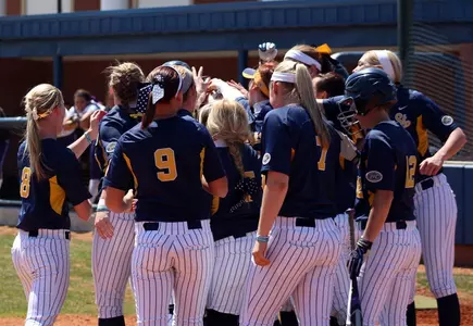 Home Run Celebration