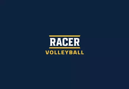 volleyball_logo