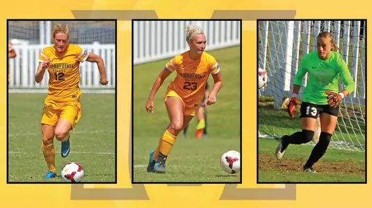 Withers, Critcher, Steigerwald