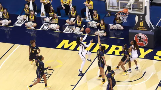 Gullege_layup