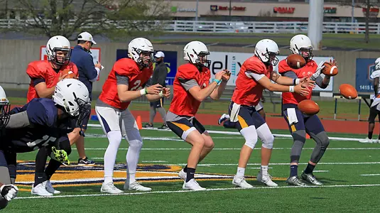 Quarterbacks