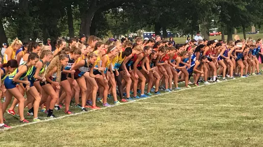MSU Cross Country