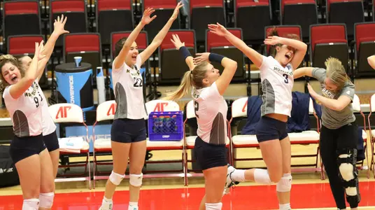 Volleyball Dab