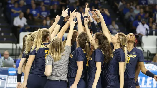 Volleyball Huddle